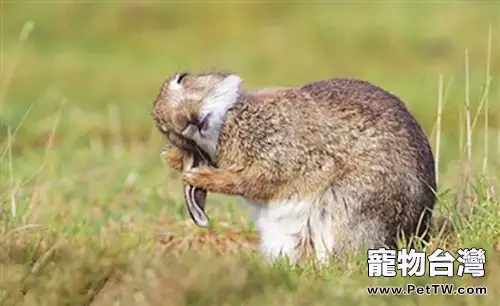 夏季高溫，注意防病