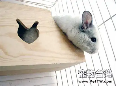 龍貓乾洗粉的優劣分析