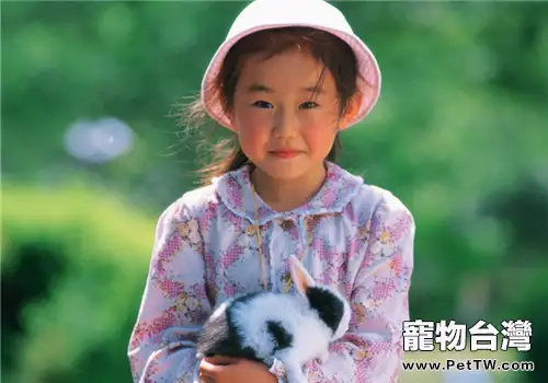 主人抱兔子的注意事項(1圖)-寵物台灣