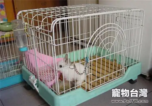 寵物兔兔籠佈置建議